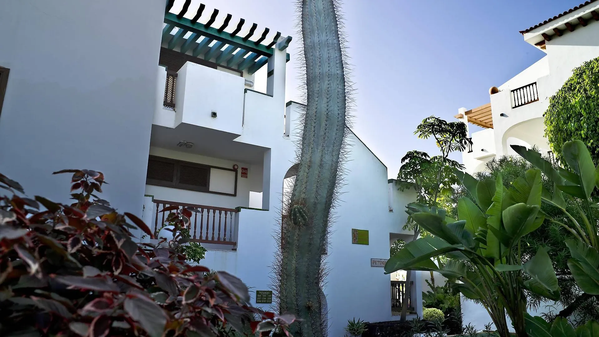 Blue Sea Apartamentos Callao Garden Callao Salvaje